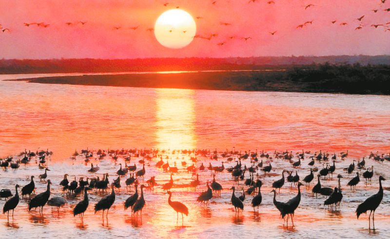 ���𣺻ƺ�ʪ�� ��������