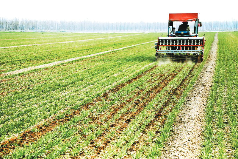 ��������ʱ ����ʩ��æ