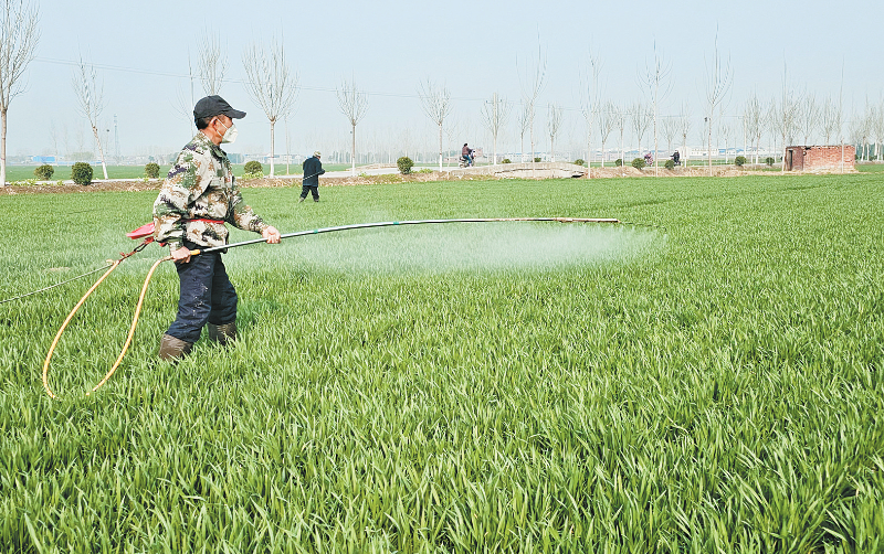 ������ݱ�����