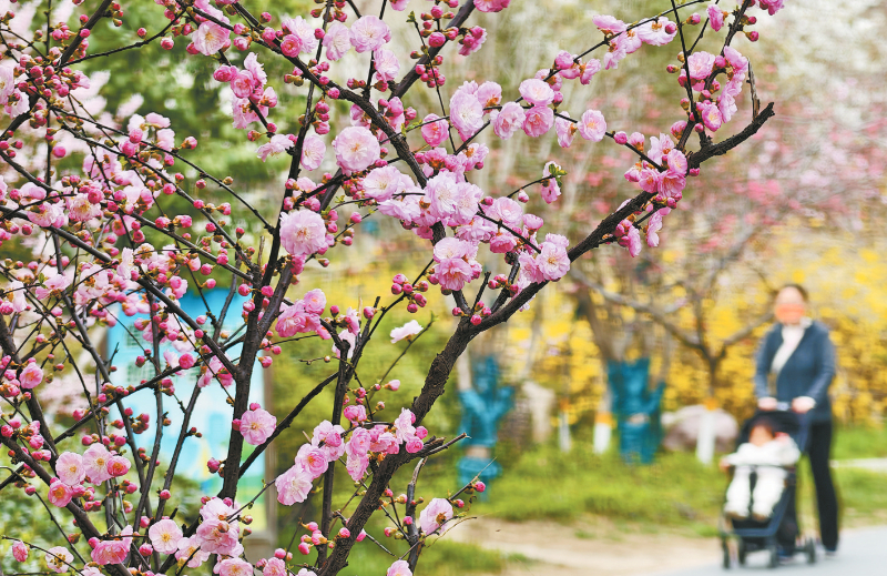 ������ͷ ��������