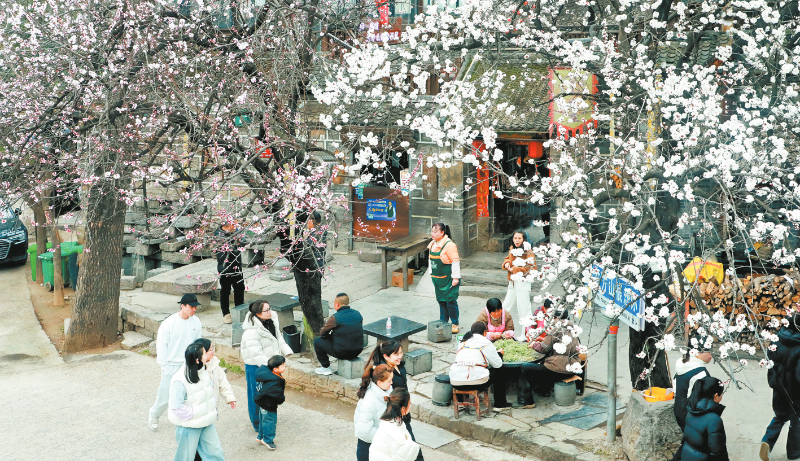 ���ա�������