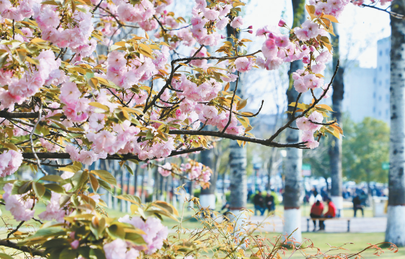 ��Ұ���� ̤������ʱ